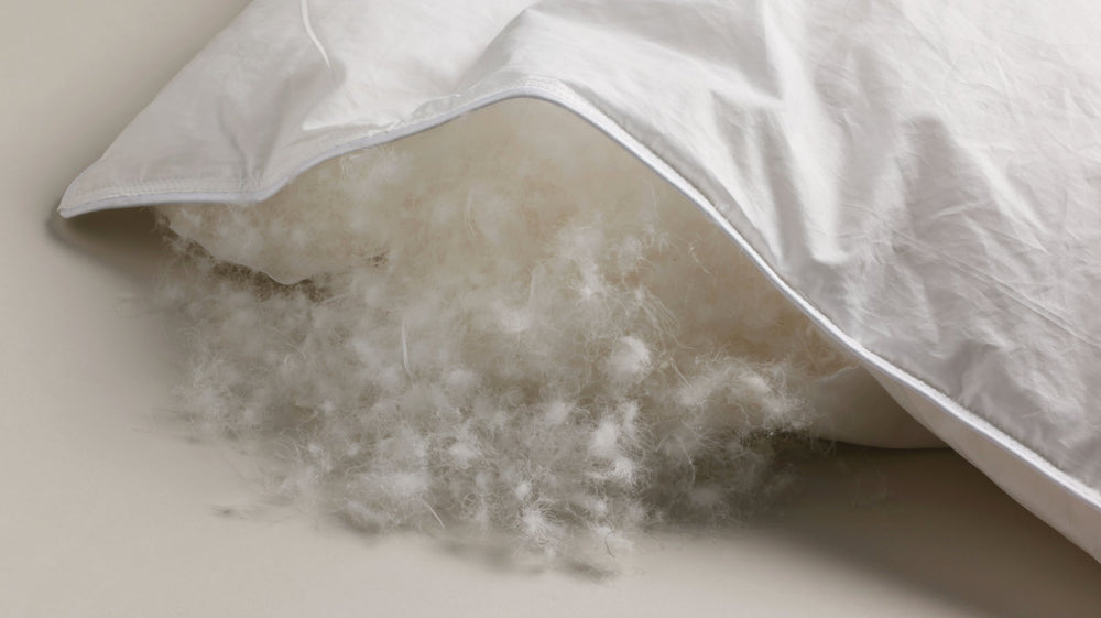 Close-up of a pillow with fluffy white Siberian down inside a pillow on a beige surface