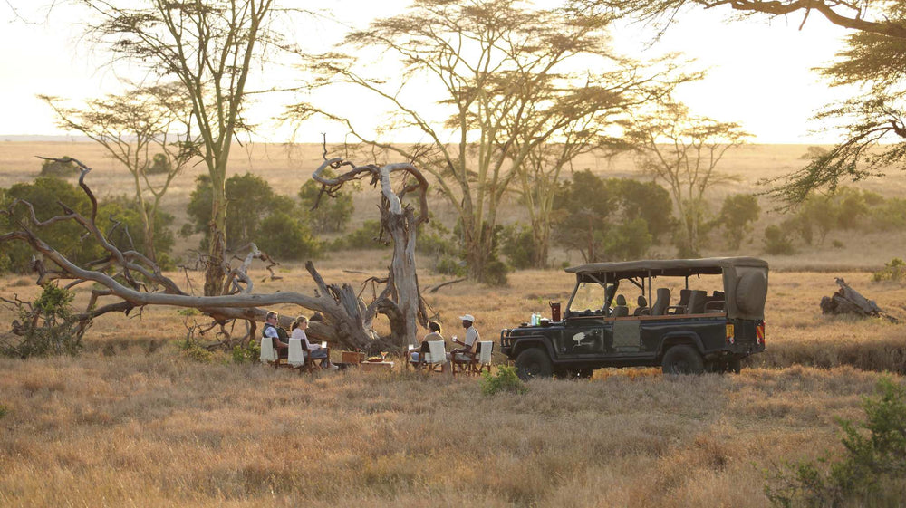 Safari scene with people around a tree and a jeep in a grassy field. Lengiushu Game Drive. Photographed by Stevie Mann for Carrier