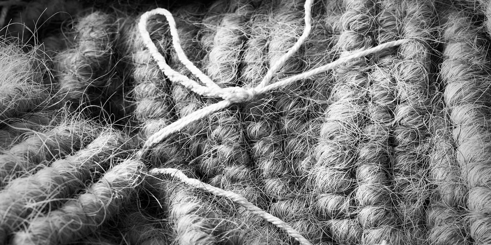 A close-up of a string attachment and horsehair