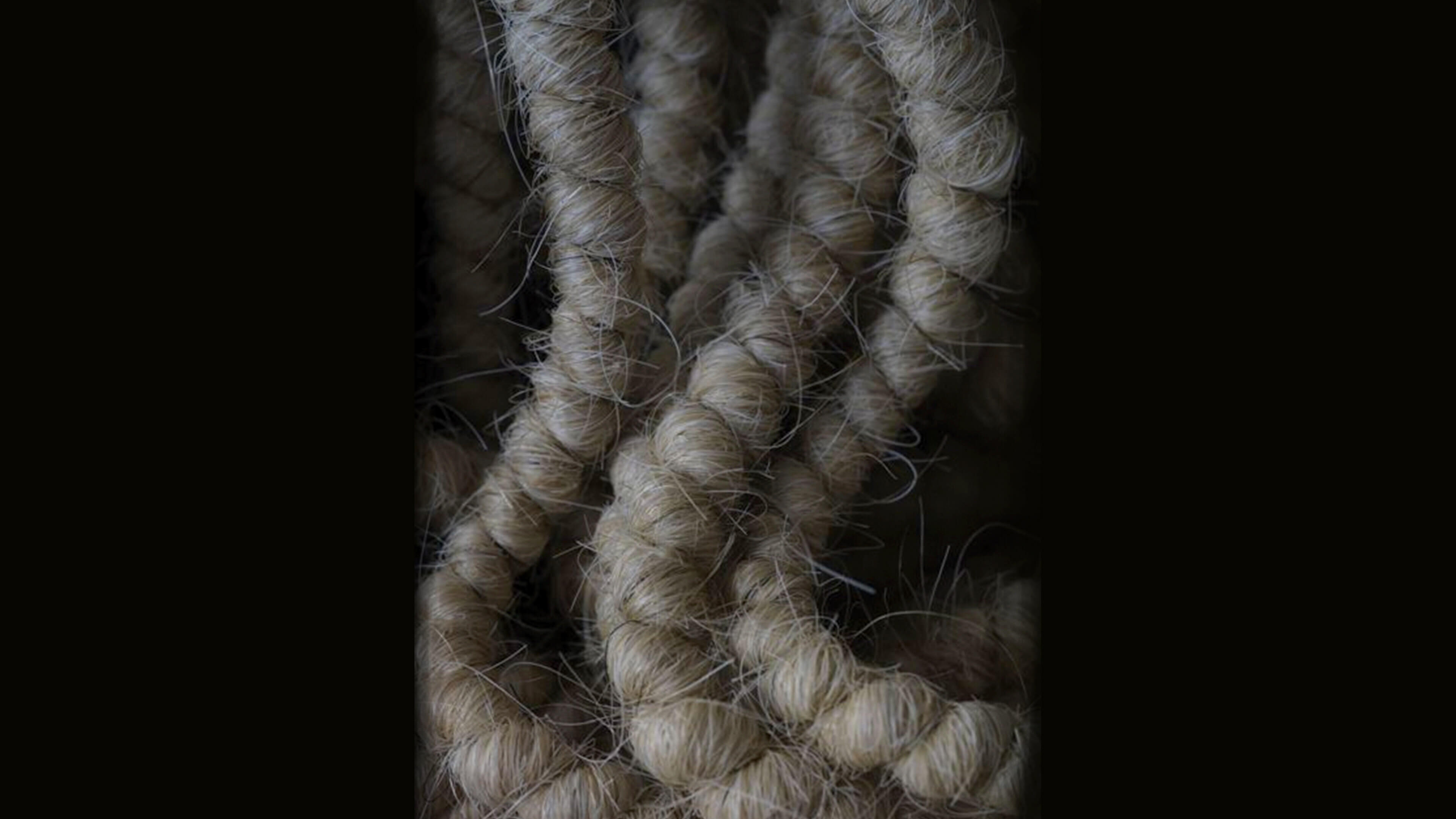 Horsetail hair rope