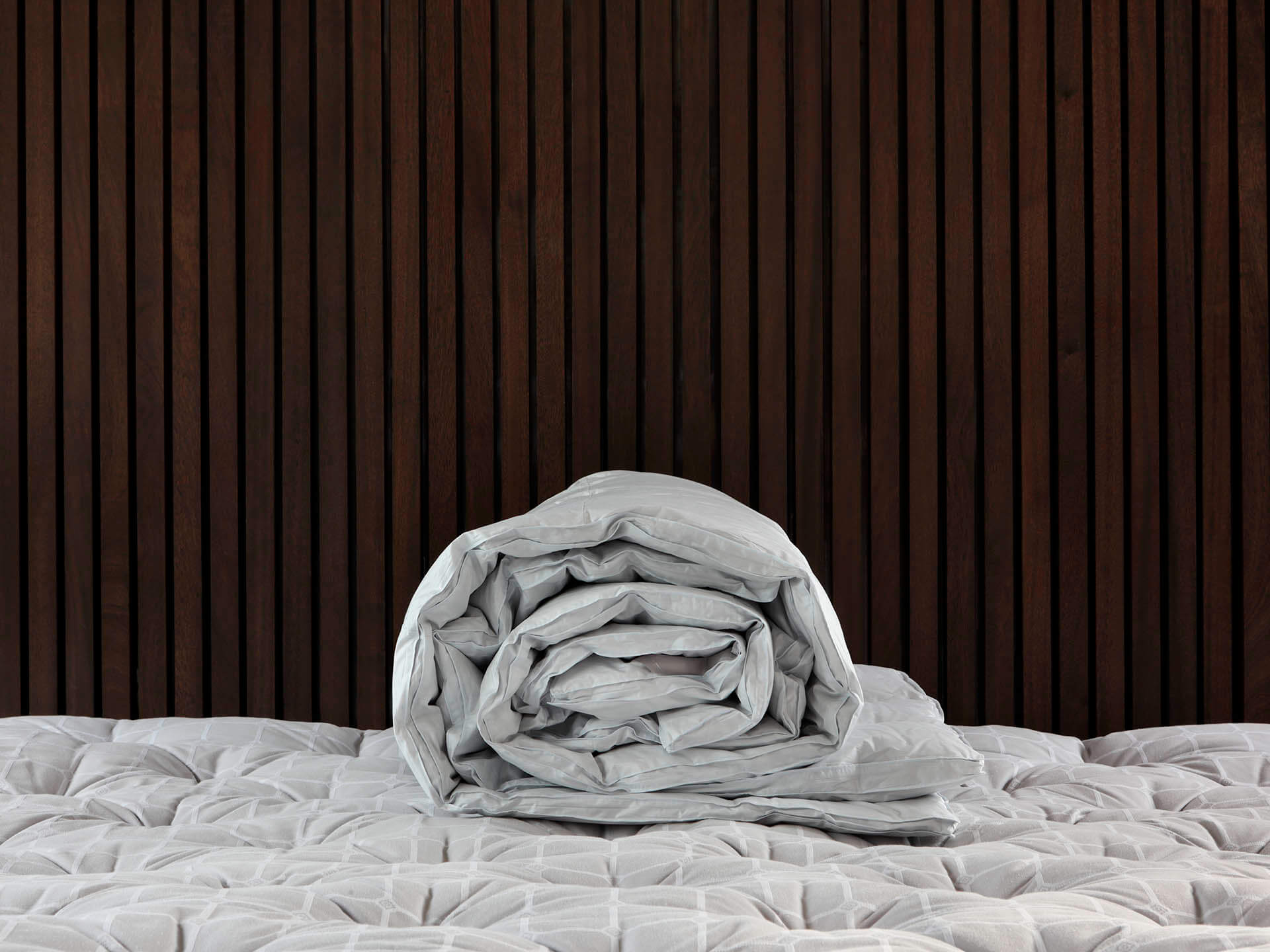 eider duck down duvet