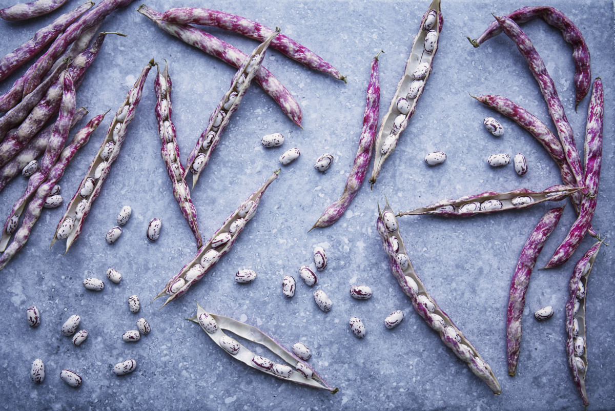 Images of runner beans