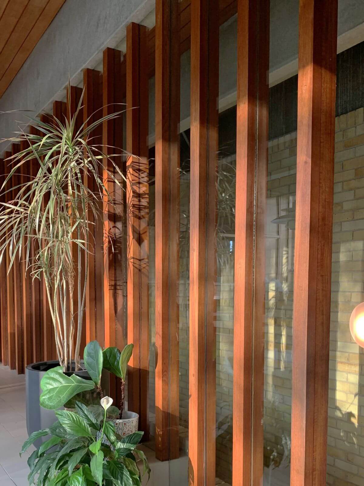 Detail of the warm timber supporting the tall windows of Ahm House, showcasing natural materials and nodding to mid-century modern style of the house