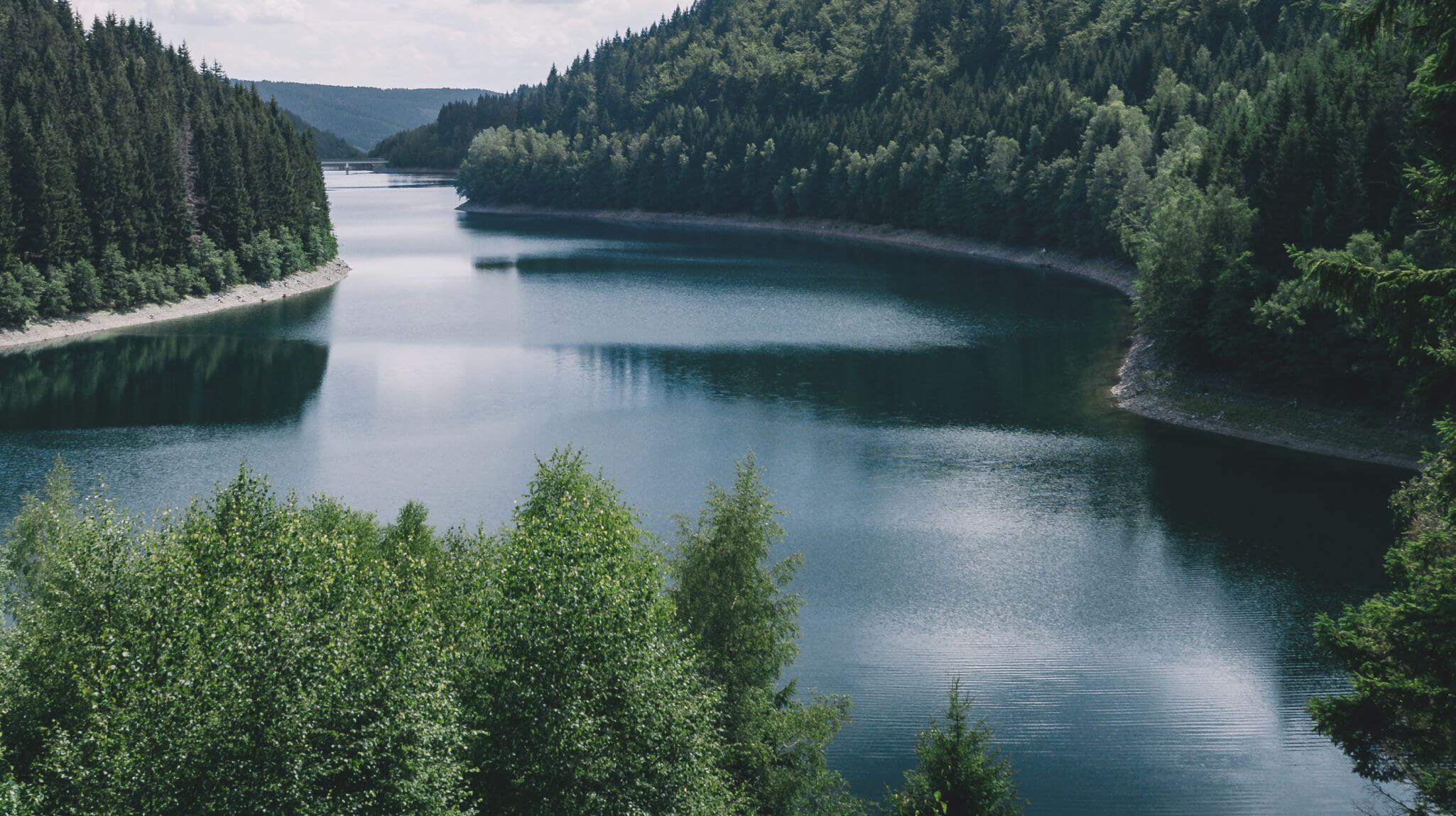 Image of a lake surrounded by lush evergreens